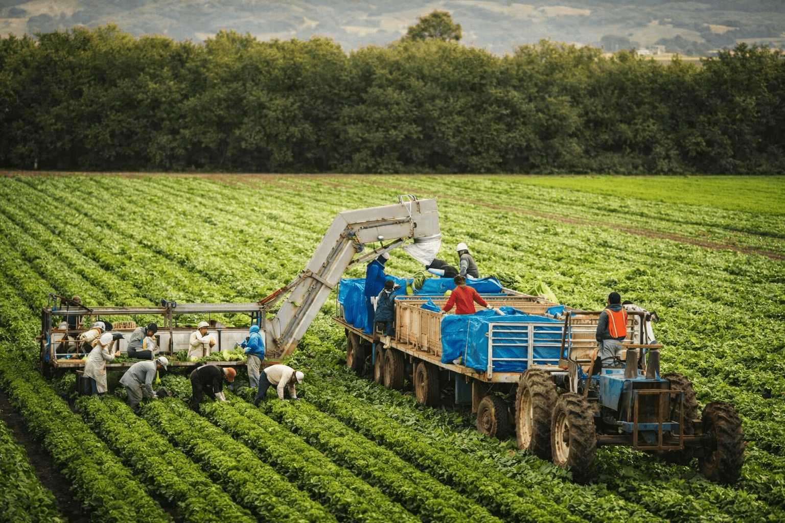 Building Strong Partnerships